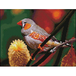 KIT BRODERIE DIAMANT SQUARES - GOULDIAN FINCH