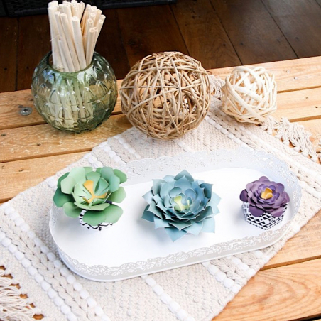 Kit pour créer 3 succulentes décoratives en papier