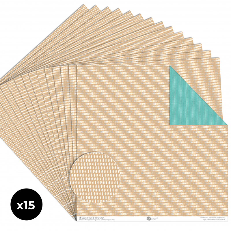 Papier Recto / Verso - 30.5cm x 31.5cm - 250g/M2 - BL-016