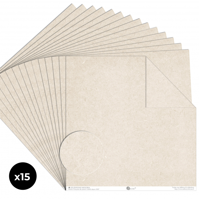 Papier Recto / Verso - 30.5cm x 31.5cm - 250g/M2 - BL-027