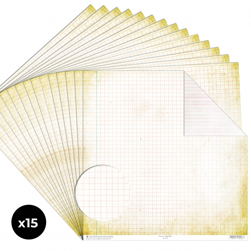 Papier Recto / Verso - 30.5cm x 31.5cm - 250g/M2 - BL-029