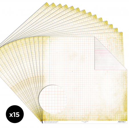 Papier Recto / Verso - 30.5cm x 31.5cm - 250g/M2 - BL-029