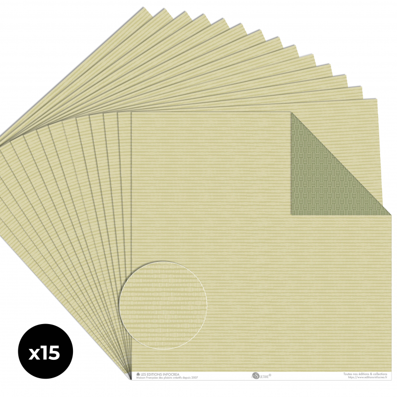 Papier Recto / Verso - 30.5cm x 31.5cm - 250g/M2 - BL-067