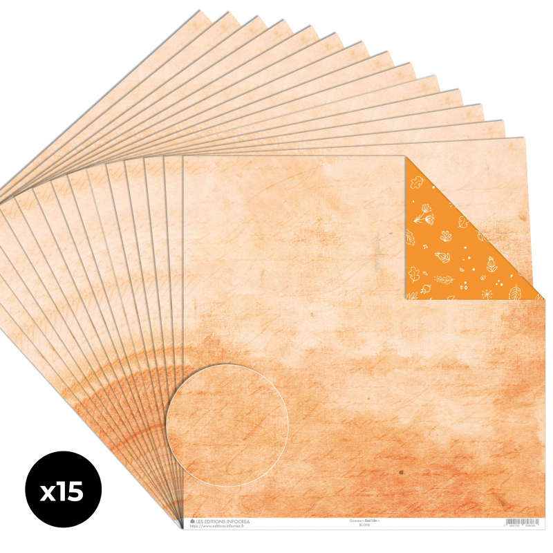 Papier Recto / Verso - 30.5cm x 31.5cm - 250g/M2 - BL-098