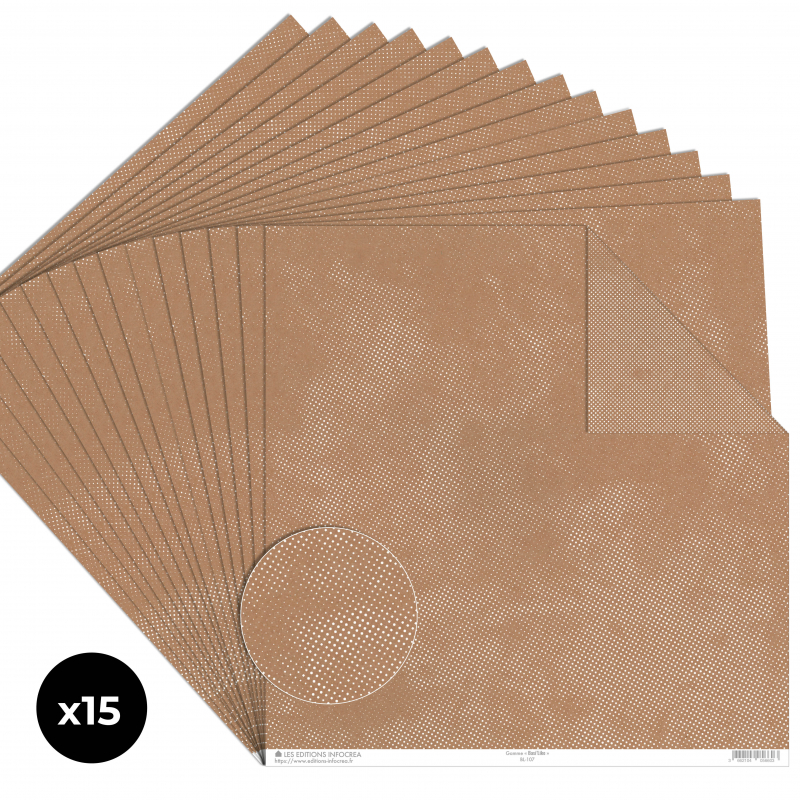 Papier Recto / Verso - 30.5cm x 31.5cm - 250g/M2 - BL-107