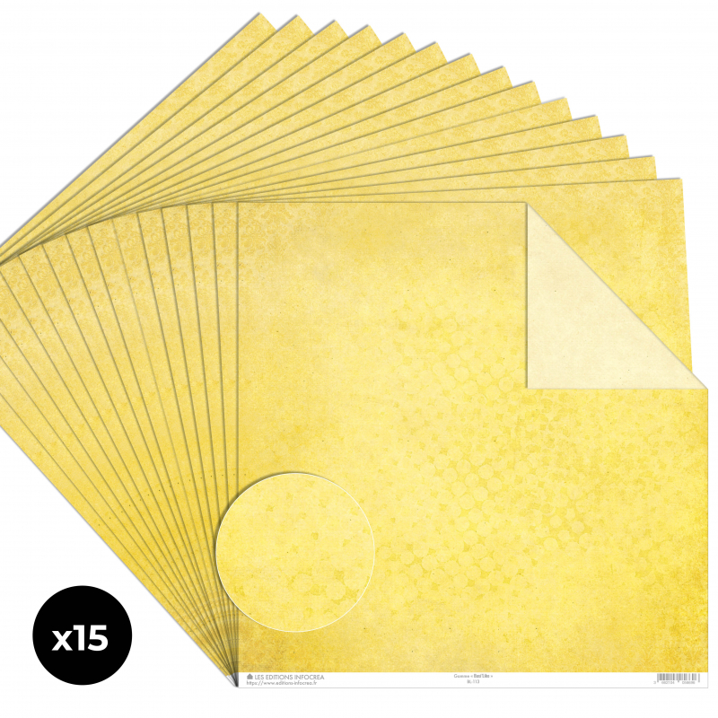 Papier Recto / Verso - 30.5cm x 31.5cm - 250g/M2 - BL-113