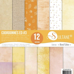 Set de 12 papiers Sultane recto/verso 30,5x30,5 cm - 250 g/m2 - Coordonnés comme la nature est belle